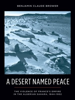 cover image of A Desert Named Peace